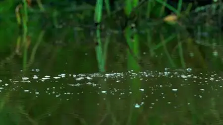Wild Britain S01E05