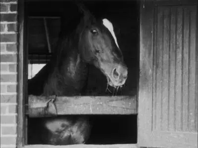 Kentucky Pride (1925)