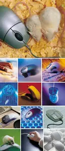 Old computer mouse