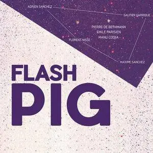 Flash Pig - Flash Pig (2016)
