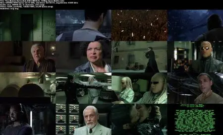 The Matrix Reloaded (2003) [Open Matte]