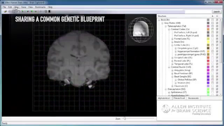 Coursera - The Science of Meditation, Education and Cognitive Shifts