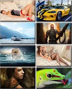 LIFEstyle News MiXture Images. Wallpapers Part (216)