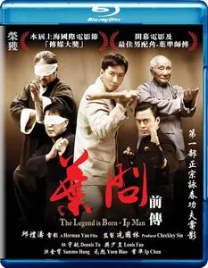 The Legend Is Born: Ip Man / Yip Man chin chyun (2010)