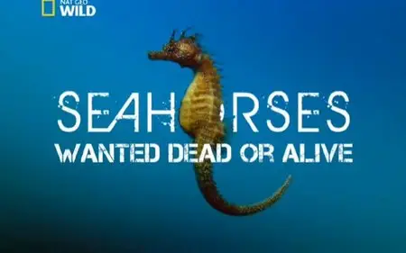 National Geographic Wild: Seahorses - Wanted Dead Or Alive (2012)