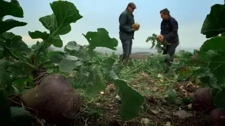 BBC - The Farmer and the Food Chain: Series 1 (2015)