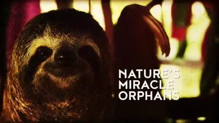 BBC - Nature's Miracle Orphans: Series 2 (2016)