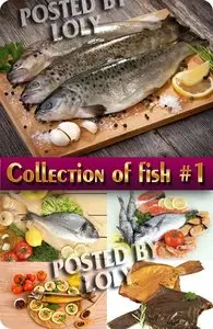 Food. Mega Collection. Fish #1 - Stock Photo