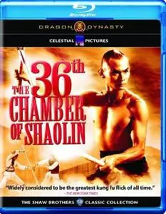 The 36th Chamber of Shaolin (1978) [REMASTERED]