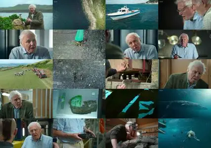 BBC - Attenborough and the Giant Sea Monster (2024)