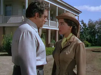 Horizons West (1952)