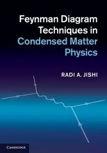 Feynman Diagram Techniques in Condensed Matter Physics (repost)