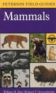 A Field Guide to Mammals: North America north of Mexico (Peterson Field Guide Series)