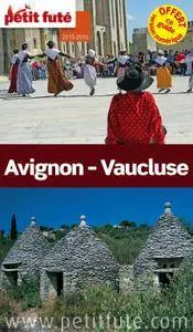 Petit Futé : Avignon - Vaucluse 2015 (avec cartes, photos + avis des lecteurs)
