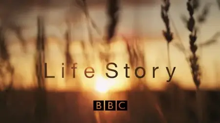 BBC: Life Story - The Full Circle (2014)