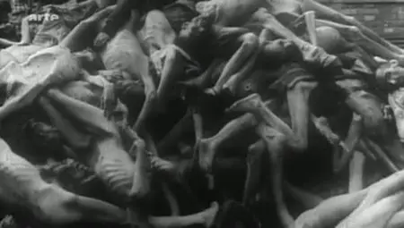 (Arte) Un espion au cœur de la chimie nazie  : Zyklon B - Les Américains savaient-ils ? (2011){Re-UP}