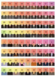 Clothing Substitution: Photo of Documents (2009)