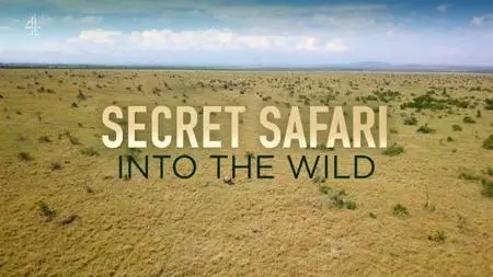 Channel 4 - Secret Safari: Into the Wild (2021)