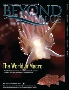 Beyond Blue Issue 14 - January 2012