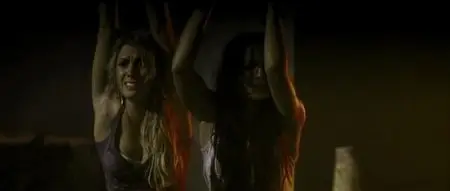 The Bleeding (2009)