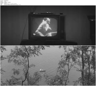 An Early Rain (1966)