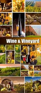 Stock Photo - Wine & Vineyard