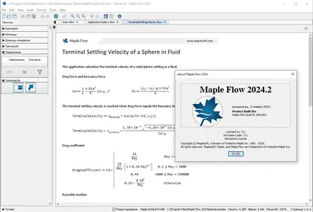 Maplesoft Maple Flow 2024.2.1