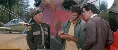 It Happened at the World's Fair (1963)