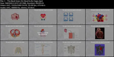 Crash Course Anatomy