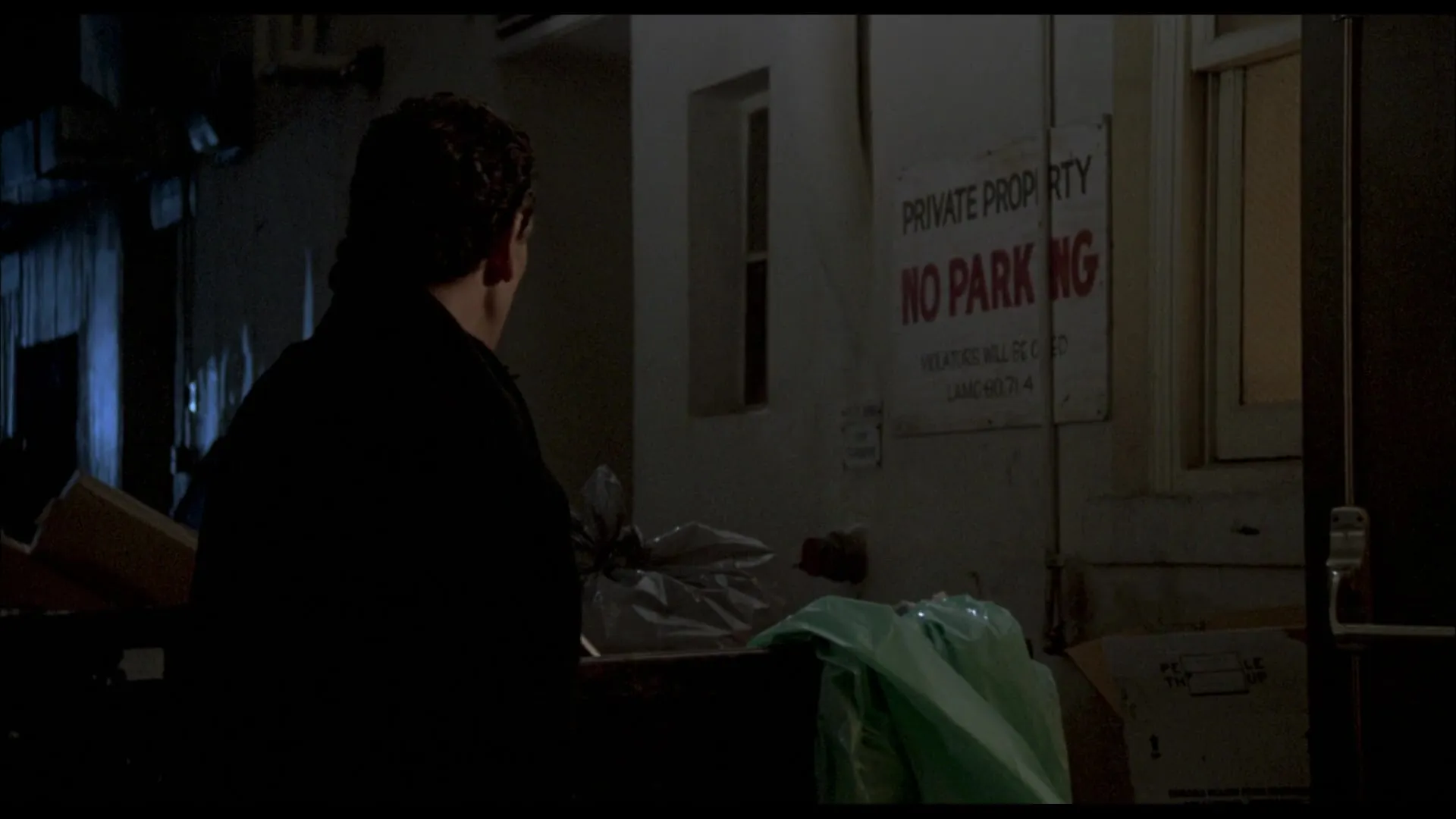 Someone to Watch Over Me (1987)