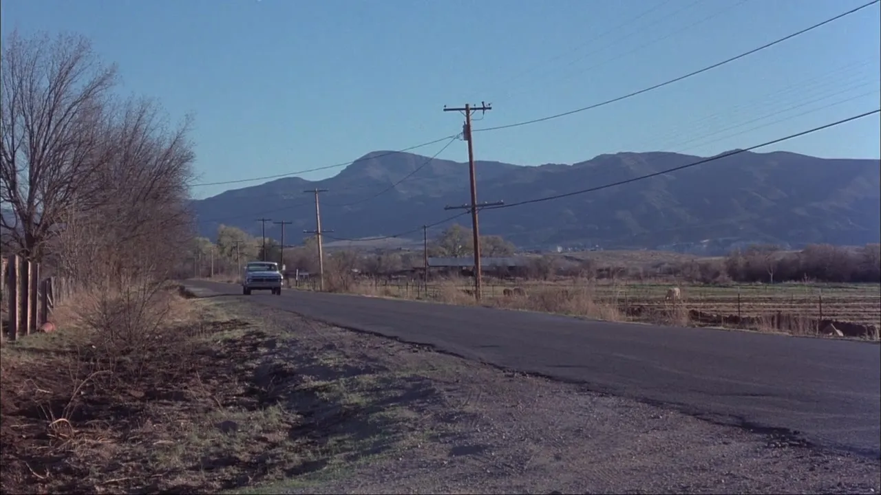 Kingdom of the Spiders (1977)