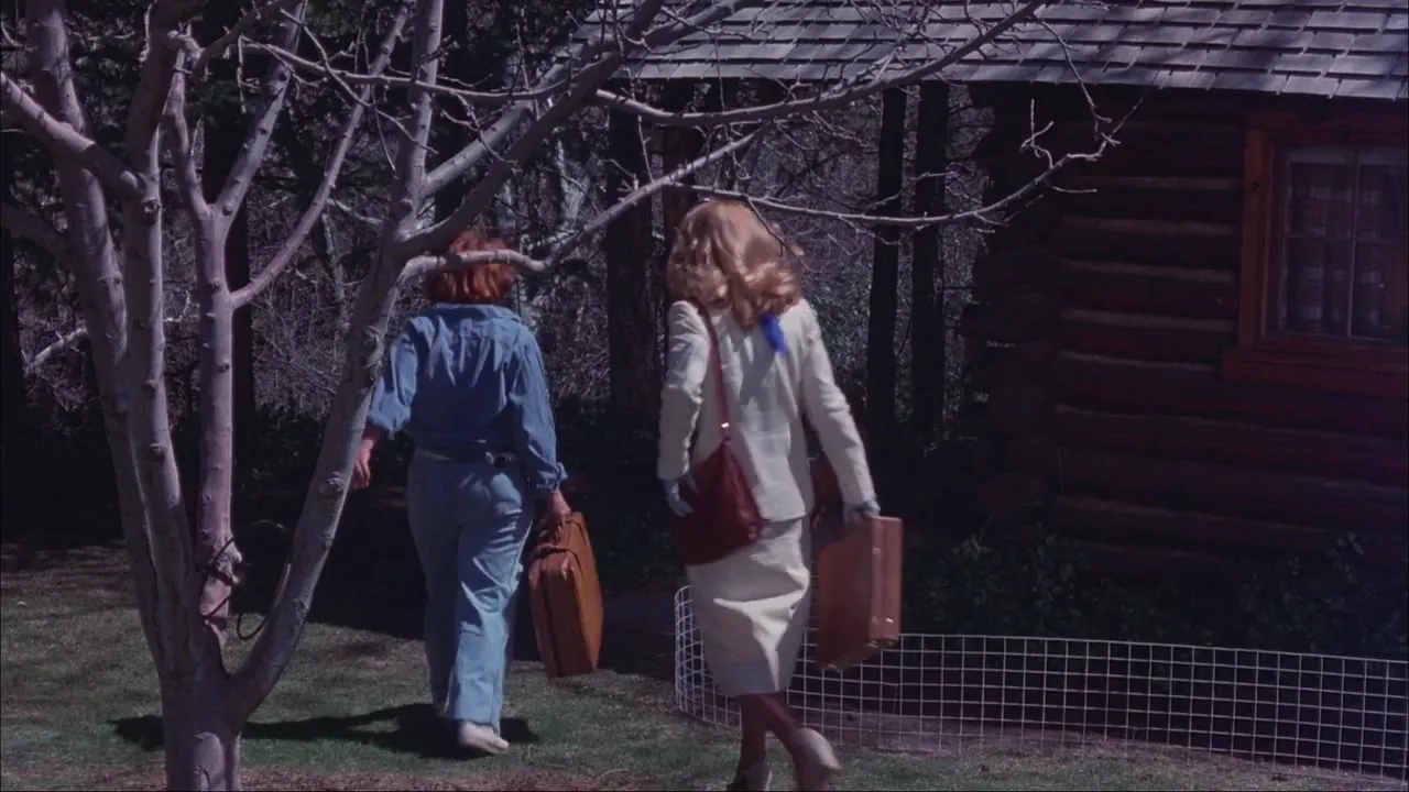 Kingdom of the Spiders (1977)