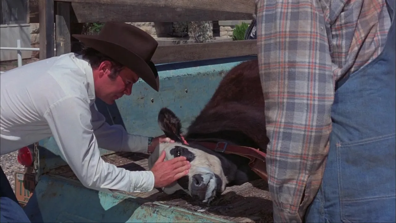 Kingdom of the Spiders (1977)