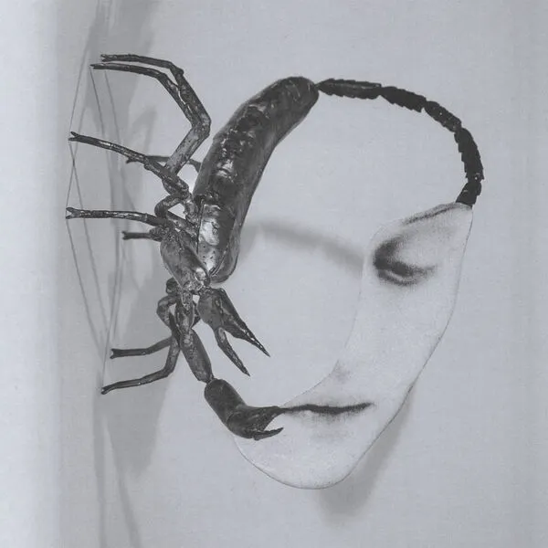 Tortoise - Touch (2025)