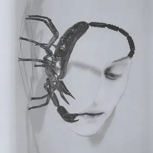 Tortoise - Touch (2025)