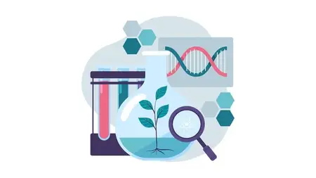 Basics of Physics Mechanics & Biophysics: Newton to Neurons
