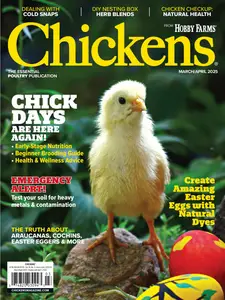 Chickens - March-April 2025