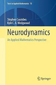 Neurodynamics: An Applied Mathematics Perspective (Texts in Applied Mathematics)
