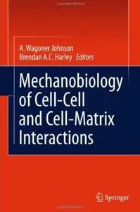 Mechanobiology of Cell-Cell and Cell-Matrix Interactions [Repost]