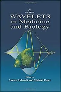 Wavelets in Medicine and Biology