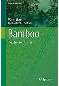 Bamboo: The Plant and its Uses [Repost]