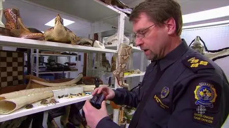 CBC Doc Zone - Wild and Dangerous: The World of Exotic Pets (2015)