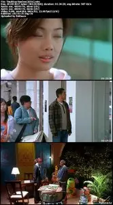 The Attractive One (2004)