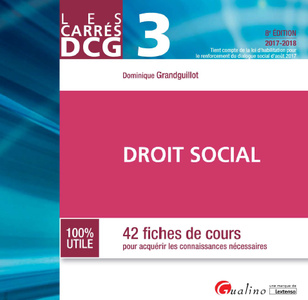 DCG 3 Droit social
