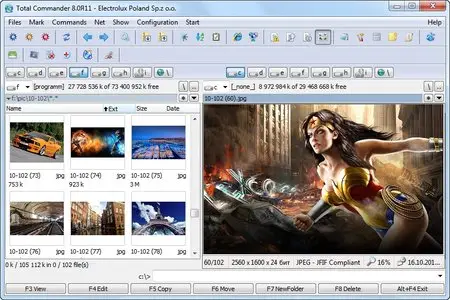 Total Commander 8.00 Beta 12 PowerPack 2011.12 Portable