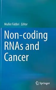 Non-coding RNAs and Cancer (Repost)