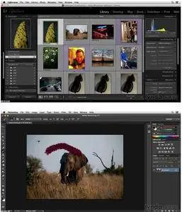 Noise Reduction and Sharpening in Lightroom and Photoshop [repost]