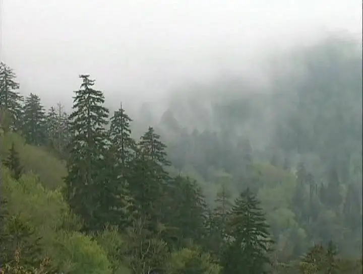 Золотой глобус. 1. Национальные парки США (Часть 1)