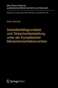 Subsidiaritätsgrundsatz und Tatsachenfeststellung unter der Europäischen Menschenrechtskonvention