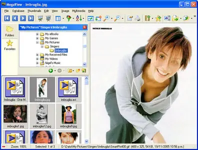 MegaView 12.0.0.301